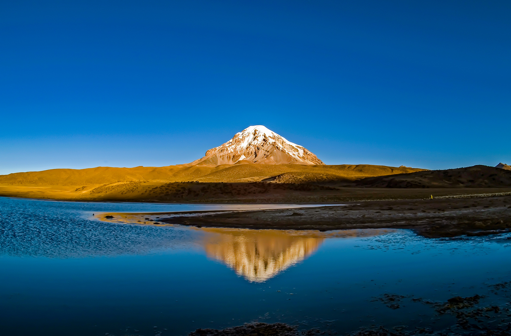 Sajama