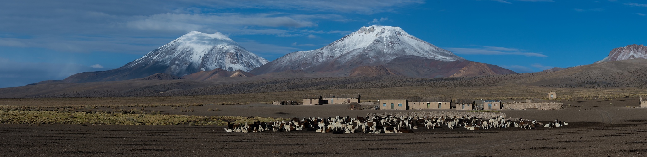 Sajama Panorama