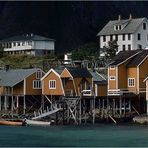 SAKISOY (Lofoten / NOR)