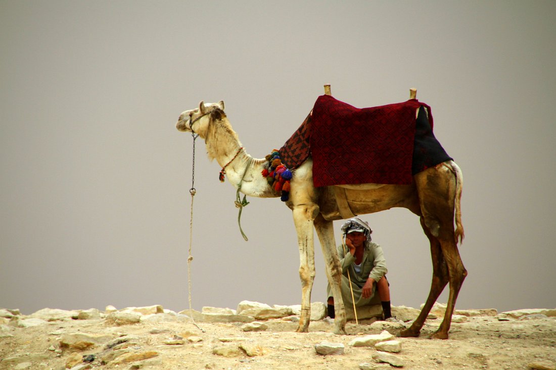 Sakkara