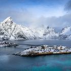 Sakrisoy, Lofoten-2344