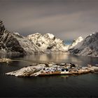 Sakrisoya  -  Lofoten