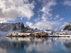 Sakrisøy