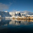 Sakrisøy