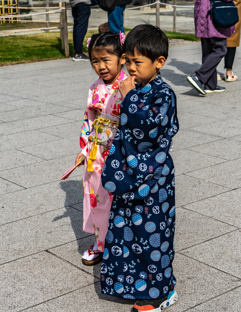 Sakura - Kinder im Kimono