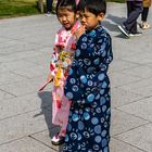 Sakura - Kinder im Kimono