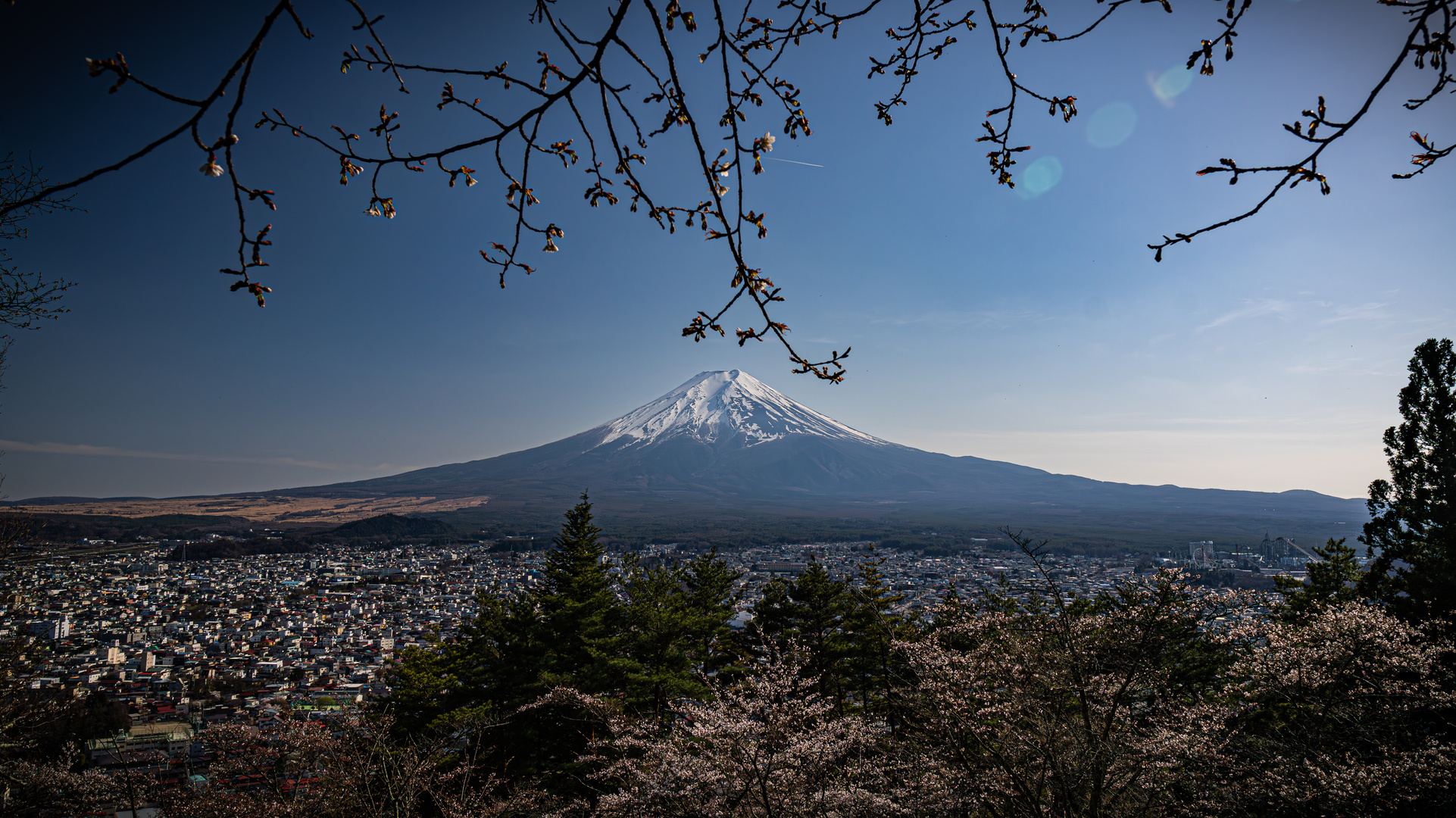 Sakura @ Mt. Fuji, Japan