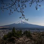 Sakura @ Mt. Fuji, Japan