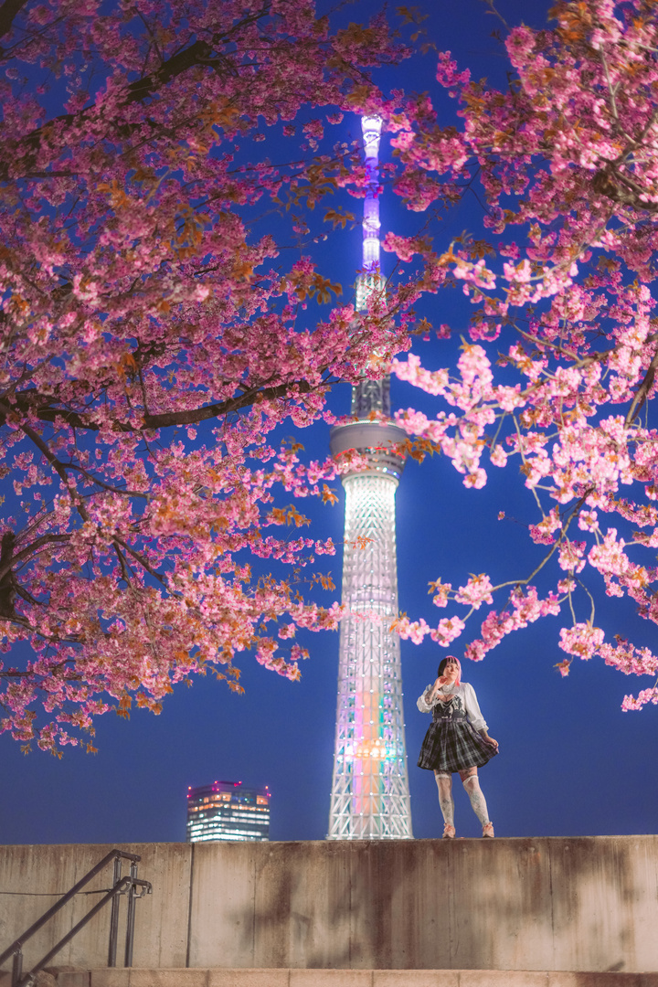 Sakura Skytree