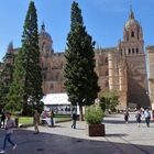 Salamanca, Kathedrale