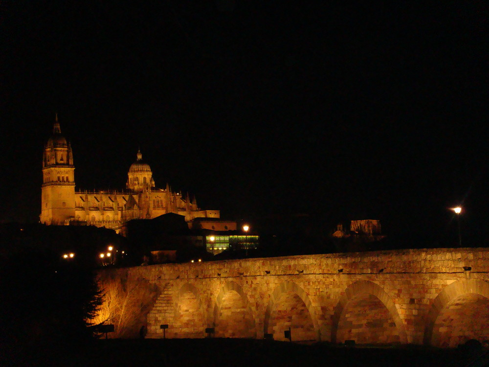 SALAMANCA LA NUIT