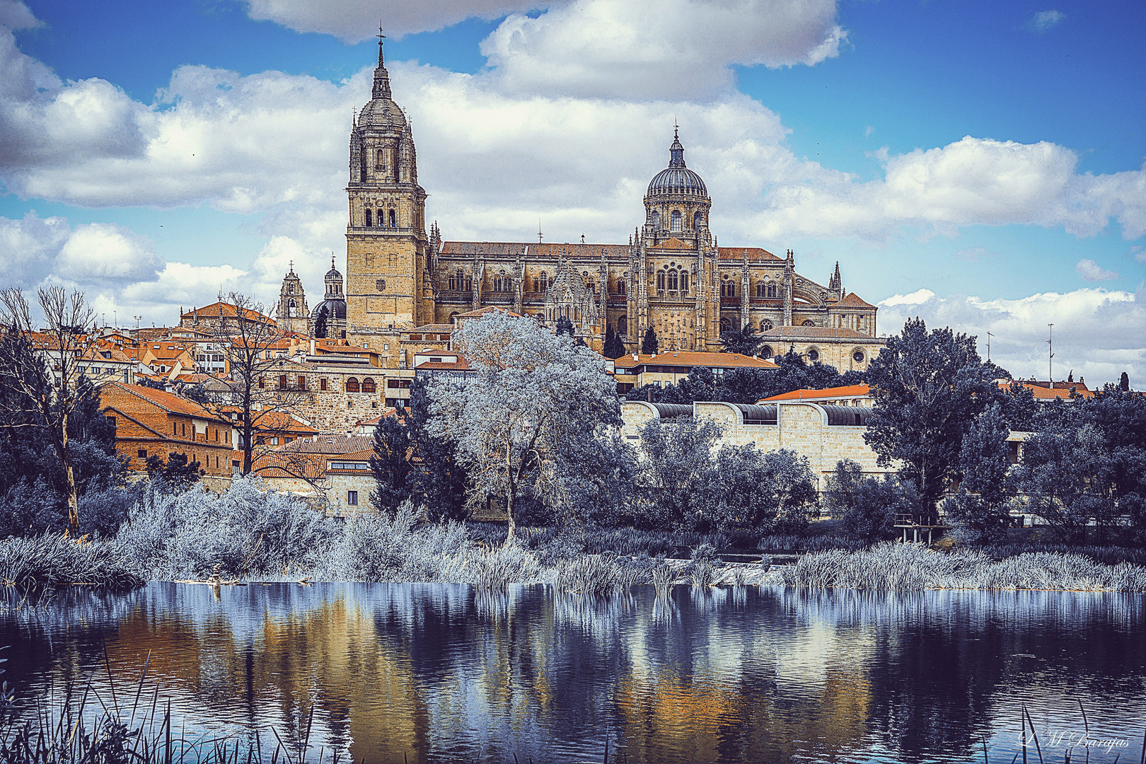 Salamanca observando la cencellada