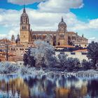 Salamanca observando la cencellada