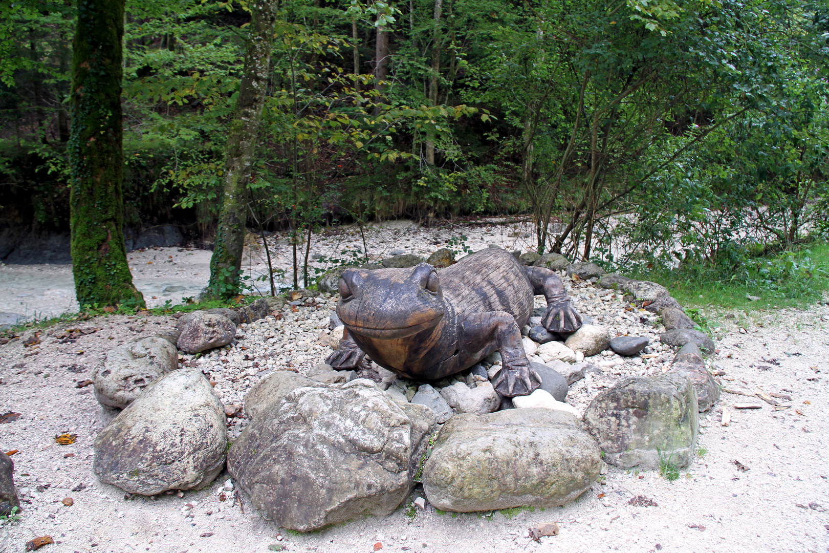 Salamander als Symbol des Wanderweg der Almbachklamm im Berchtesgadener Land