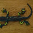 Salamander auf Holz