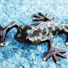 Salamander