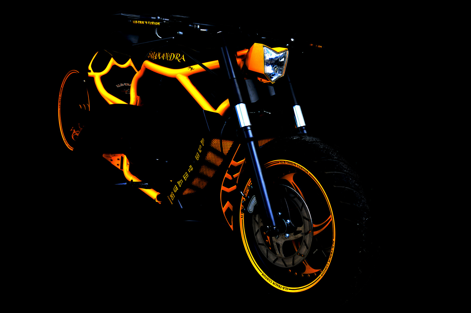 Salamandra Bike Alb Traum Custom