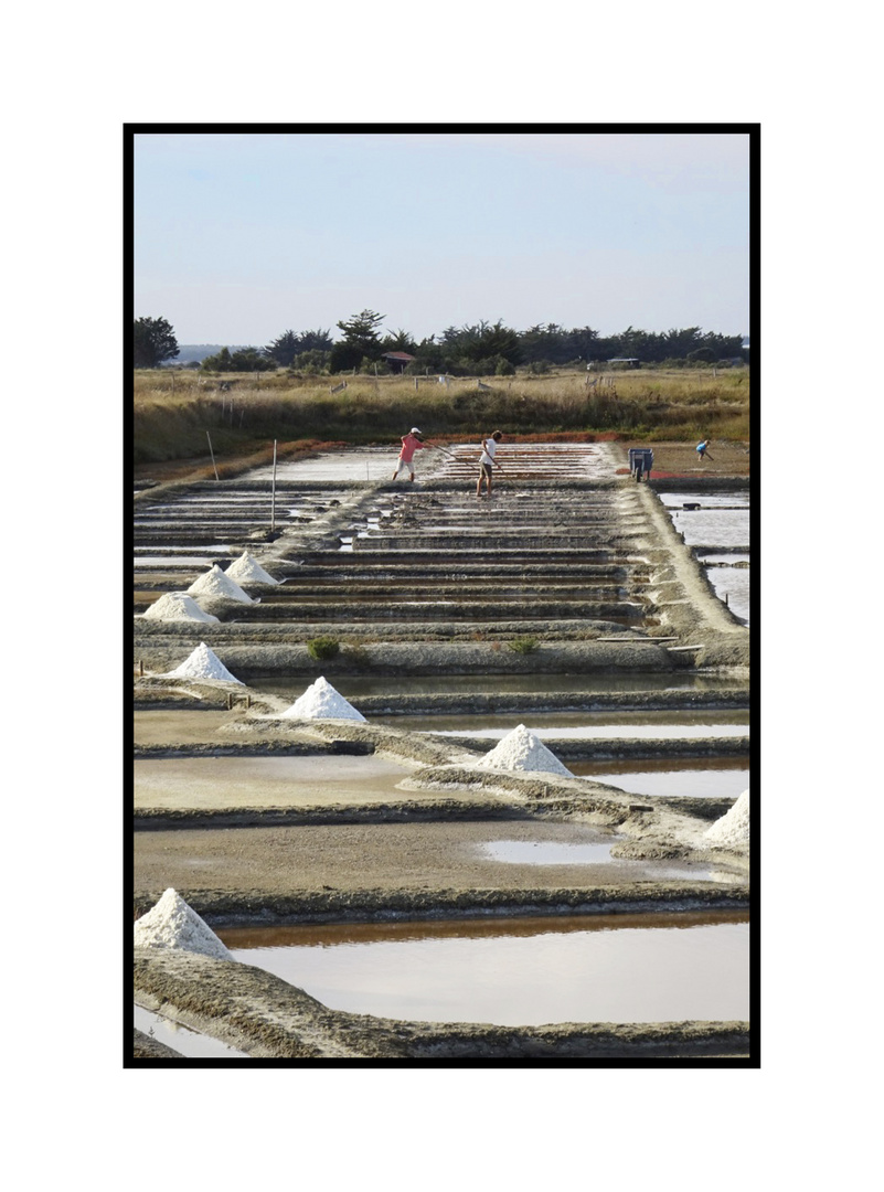 Salants en Vendée