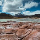 Salar Aguas Calientes