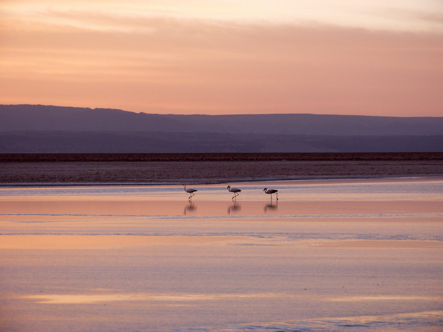 salar de atacama 03