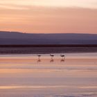 salar de atacama 03