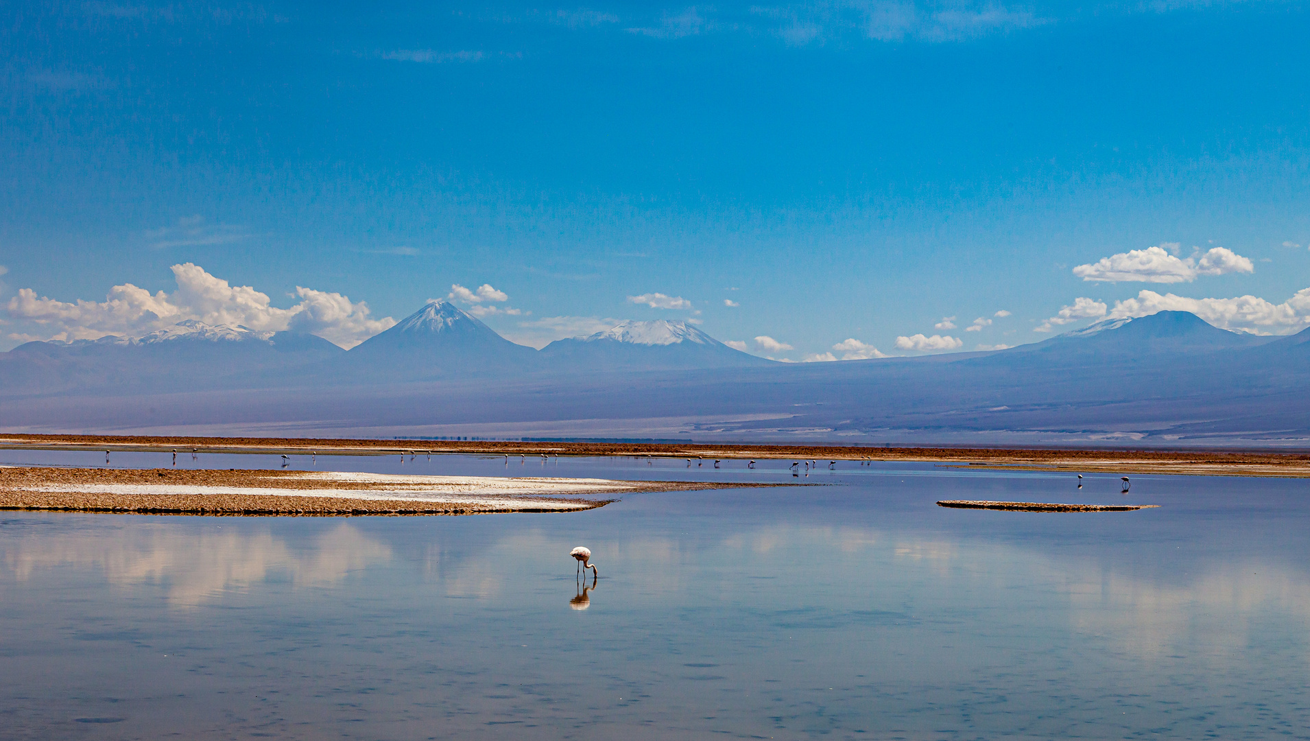 Salar de Atacama - 2 