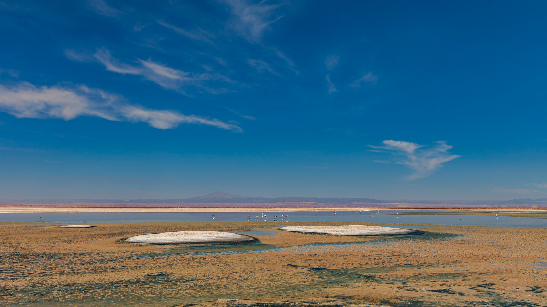 Salar de Atacama - 3