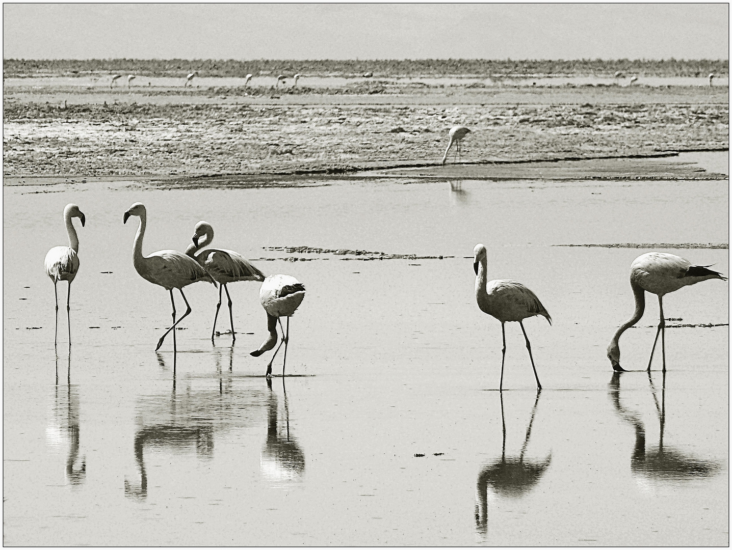 Salar de Atacama