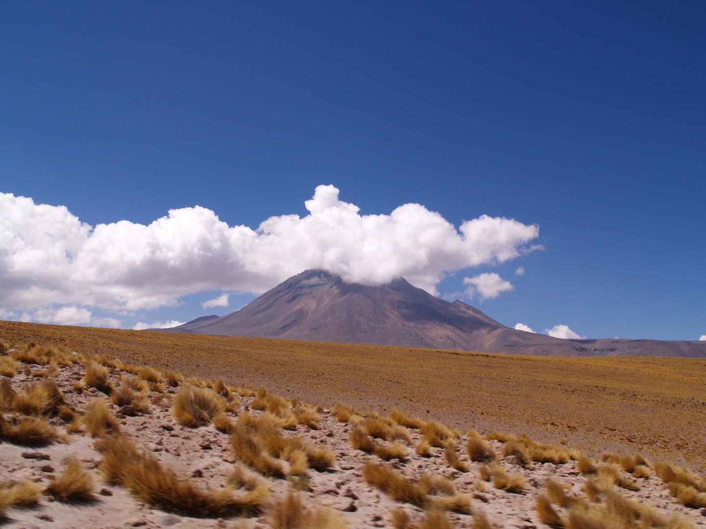 Salar de Atacama