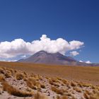 Salar de Atacama