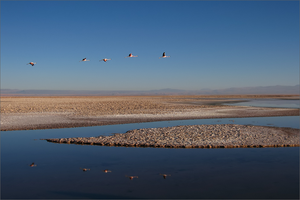 Salar de Atacama, Chile