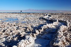 Salar de Atacama - Foto 0095