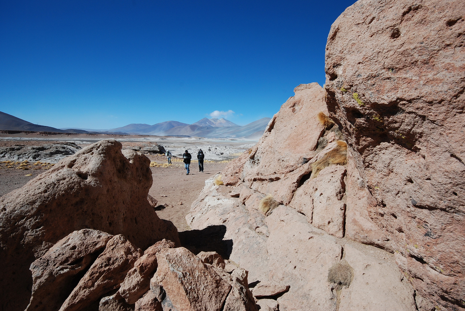 Salar de Atacama - Foto 0102