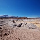 Salar de Atacama - Foto 0103