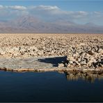 Salar de Atacama I