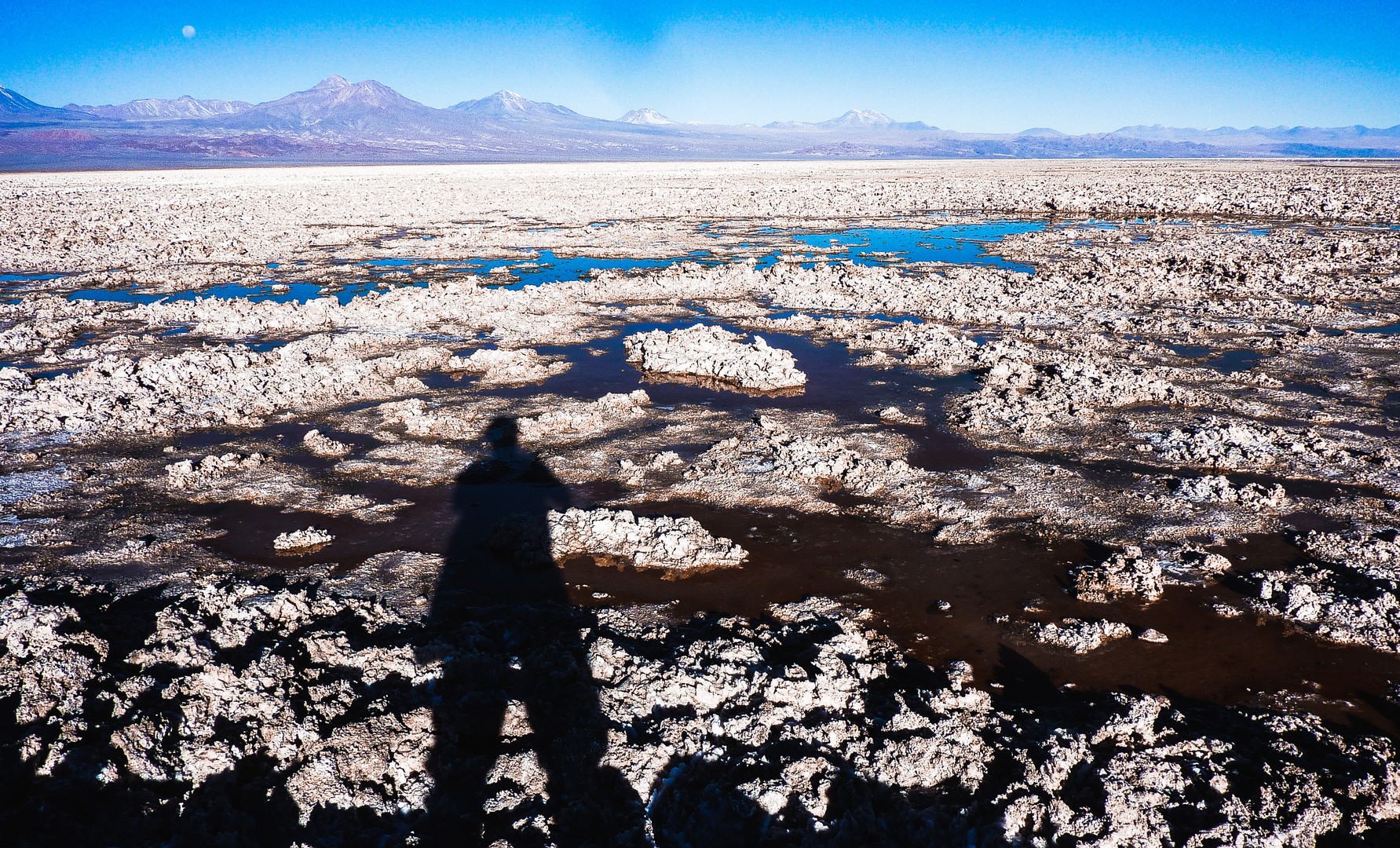 Salar de Atacama Laguna Cejar