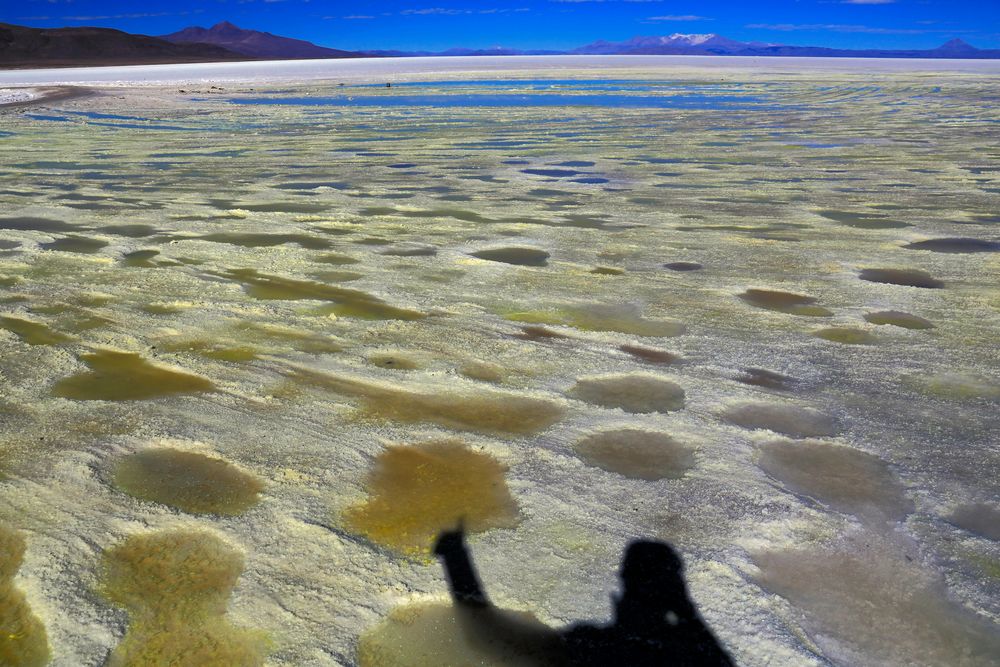 Salar de Coipasa Bolivien 