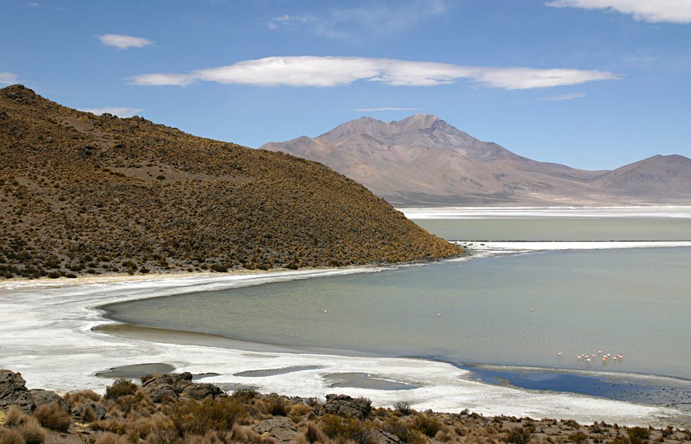 Salar de Surire