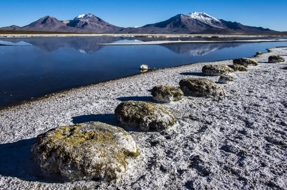 Salar de Surire