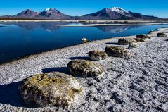 Salar de Surire