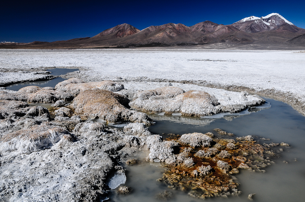 Salar de Surire im Altiplano von Chile