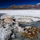 Salar de Surire im Altiplano von Chile