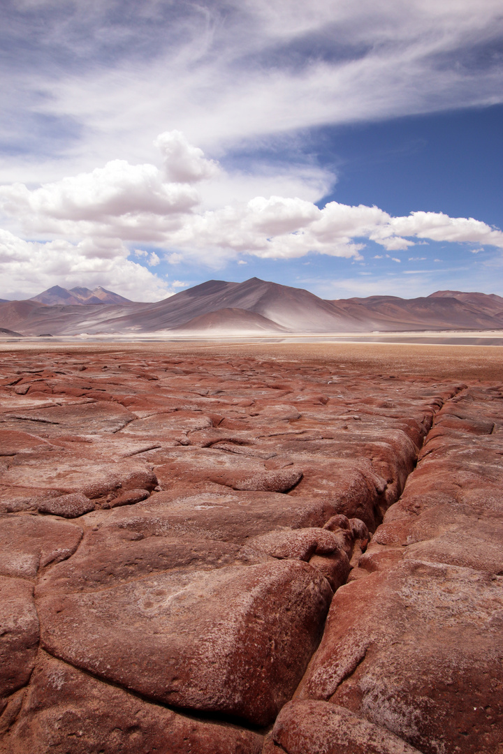 Salar de Talar