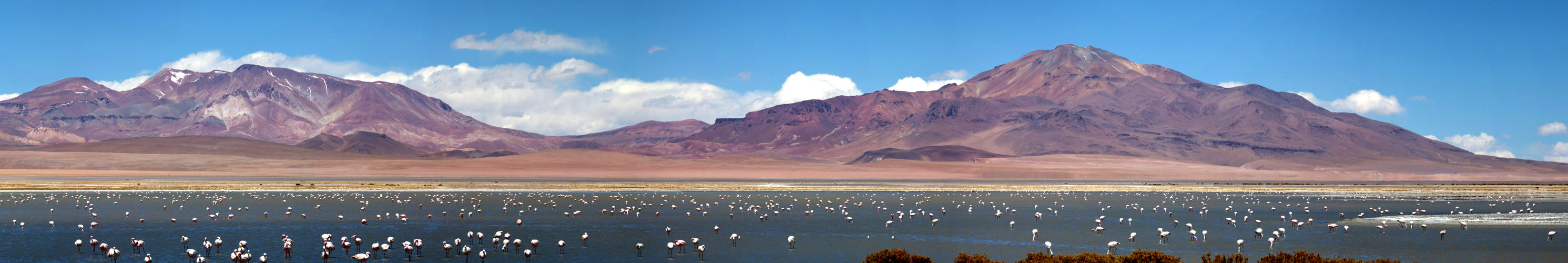 Salar de Tara