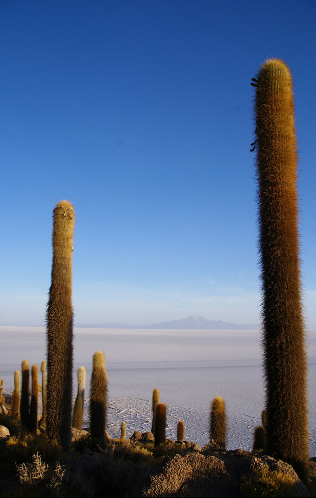 salar de uyuni