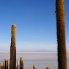 salar de uyuni