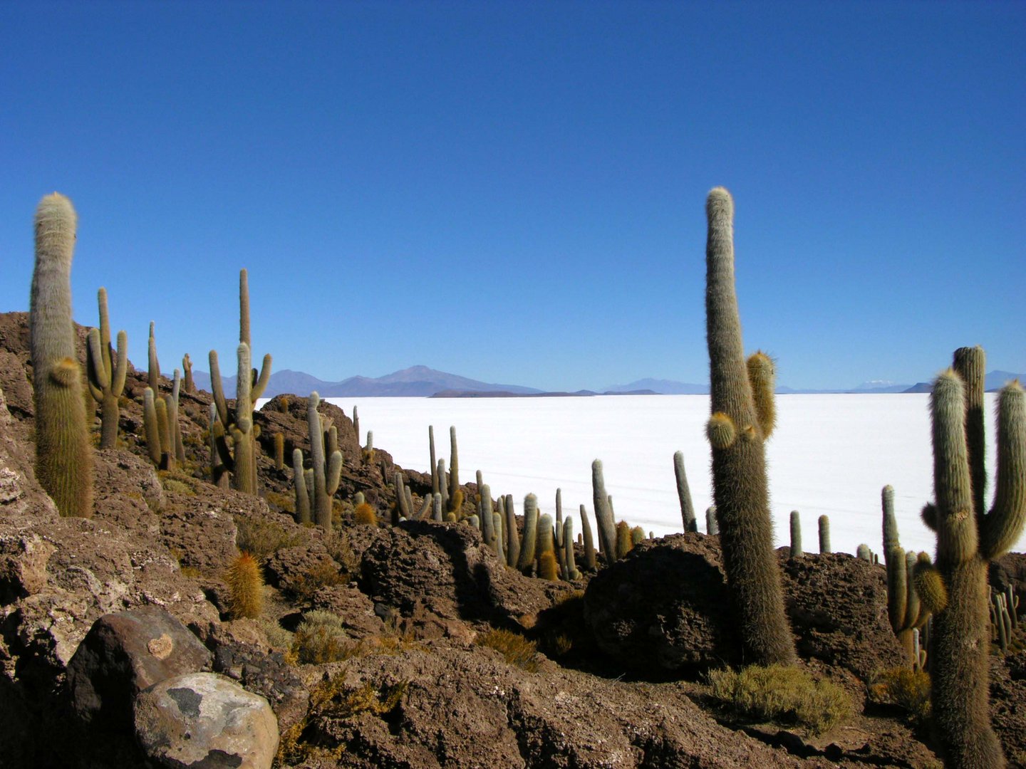 Salar de Uyuni