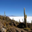 Salar de Uyuni