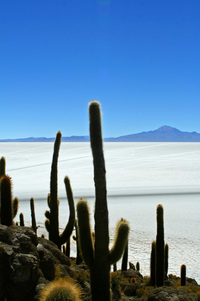 Salar de Uyuni