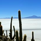 Salar de Uyuni